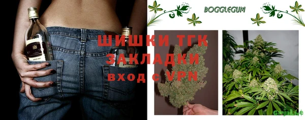 прущие грибы Саяногорск