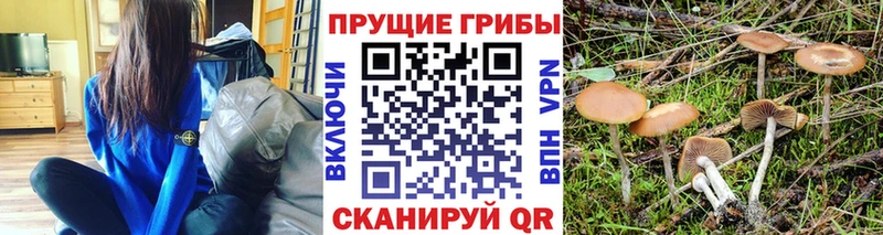 Галлюциногенные грибы мухоморы  Купить закладки  Новоуральск 